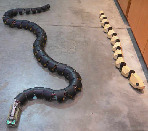 Robotic snake ideas